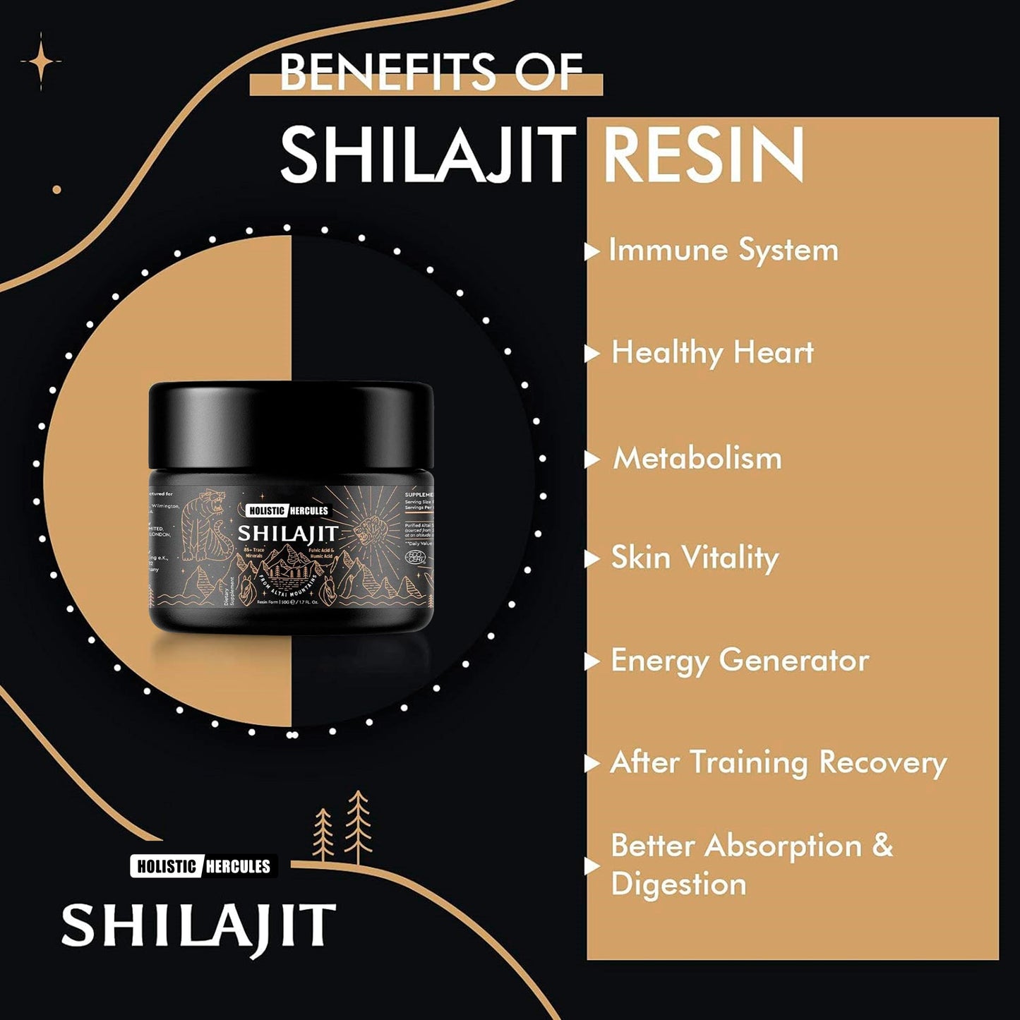 Pure Himalayan 500MG Shilajit Resin™